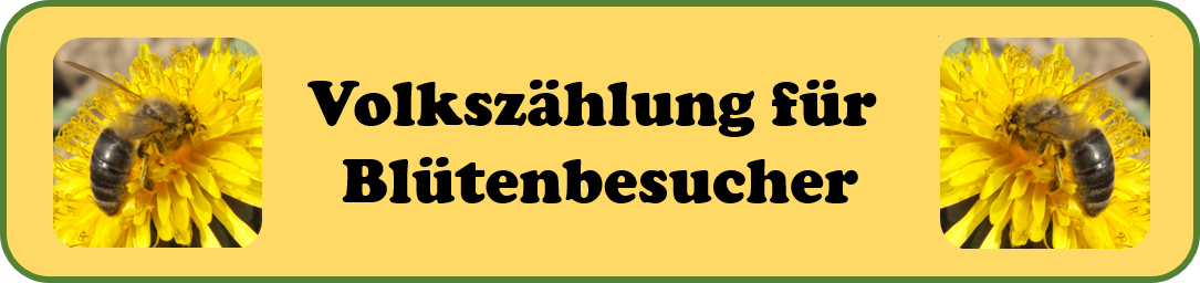 Volkszählung Blütenbesucher